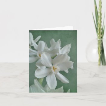 Paperwhite Narcissus Note Card by debinSC at Zazzle