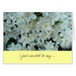 Paperwhite Narcissus Thank You Card