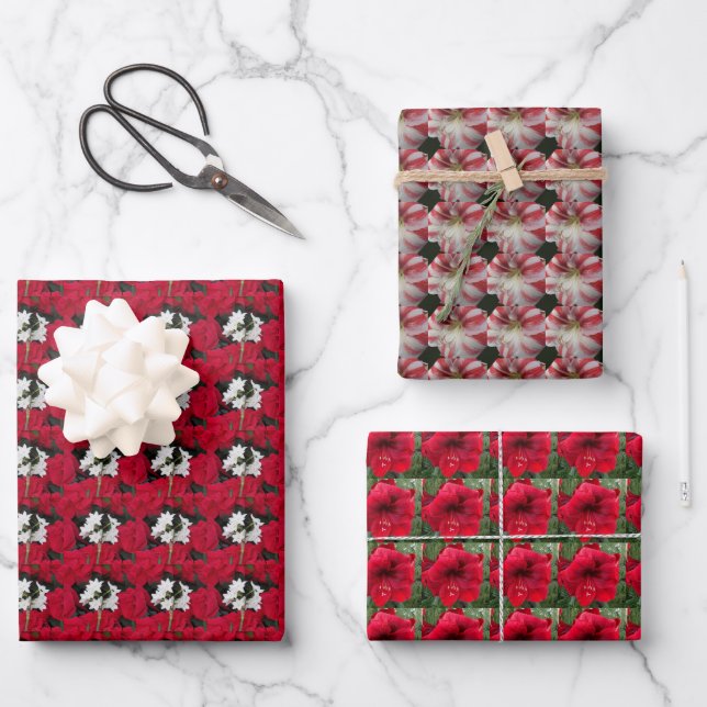 Paperwhites and Christmas Amaryllis Floral Pattern Wrapping Paper Sheets (Front)