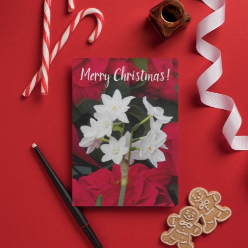 Paperwhites and Red Poinsettias Floral Christmas Card