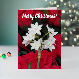 Paperwhites and Red Poinsettias Floral Foil Holiday Card