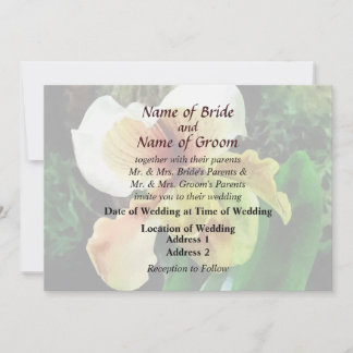 Paph Hellas Westonbirt Orchid Wedding Products Invitation