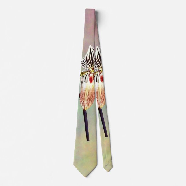 Paph Taiwan Neck Tie (Front)