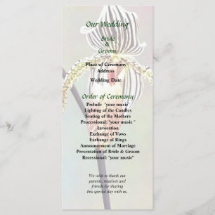 Paph Taiwan Orchid Program
