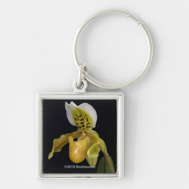 Paphiopedilum Exul Keychain (Front)