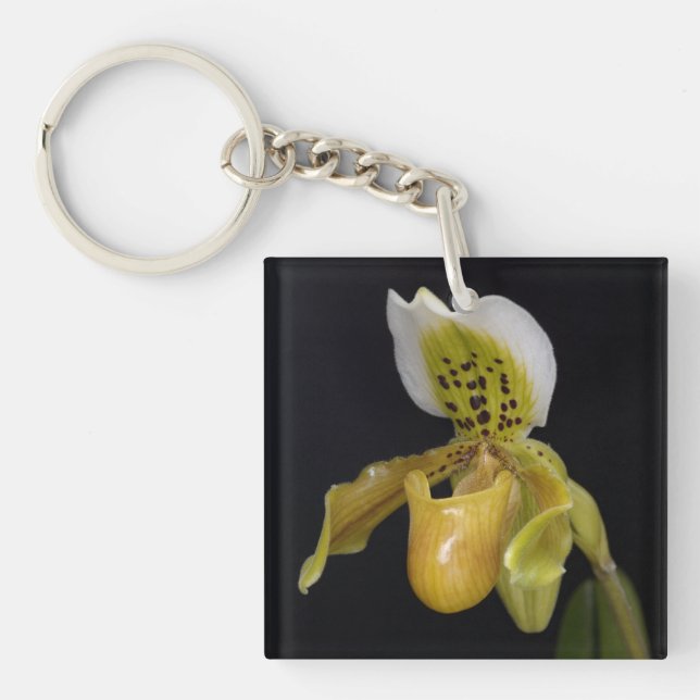 Paphiopedilum Exul Keychain (Front)