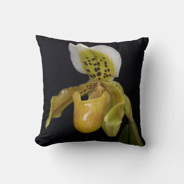 Paphiopedilum Exul Throw Pillow (Front)