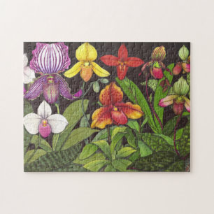 Paphiopedilum Lady Slipper Orchids Puzzle