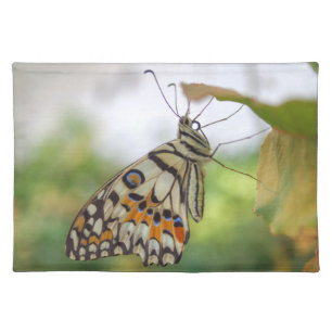 Papilio demoleus cloth placemat