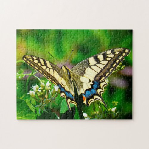 Papilio Machaon Butterfly Jigsaw Puzzle
