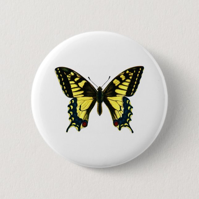 Papilio machaon button (Front)