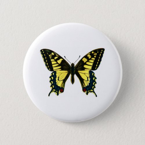 Papilio machaon button