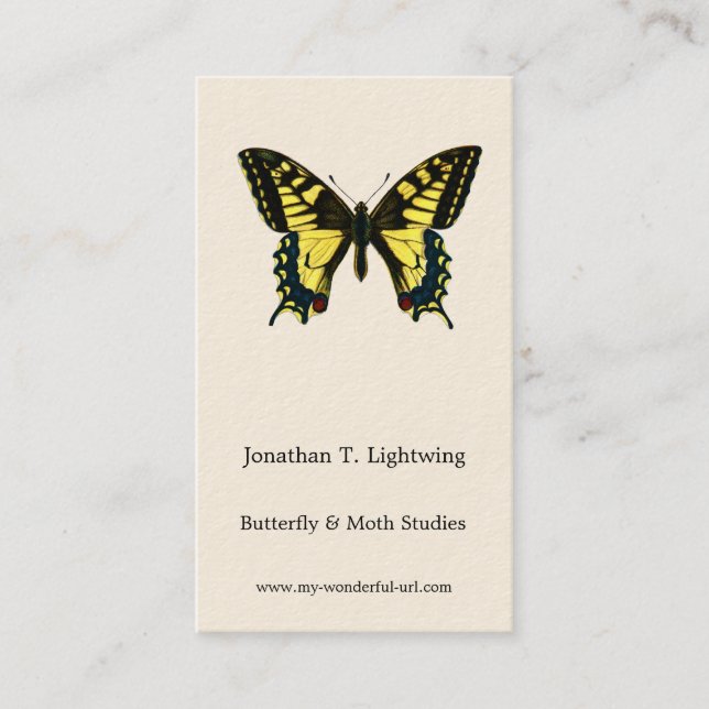 Papilio machaon - Old World Swallowtail Butterfly  Business Card (Front)