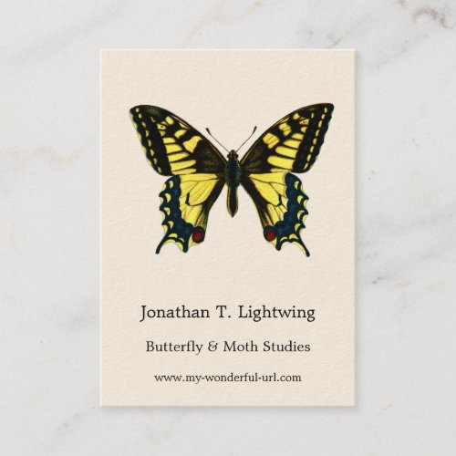 Papilio machaon _ Old World Swallowtail Butterfly  Business Card