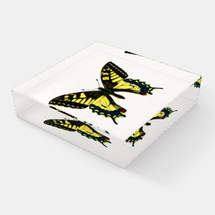Papilio machaon - Old World Swallowtail Butterfly Paperweight