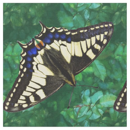 Papilio Swallowtail Fabric