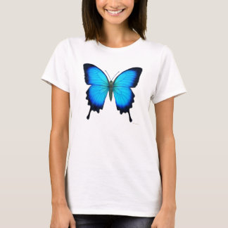 Papilio Ulysses Butterfly Ladies Crop Shirt