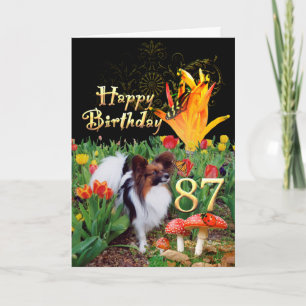 Papillion dog Happy 87 Birthday card Age specific