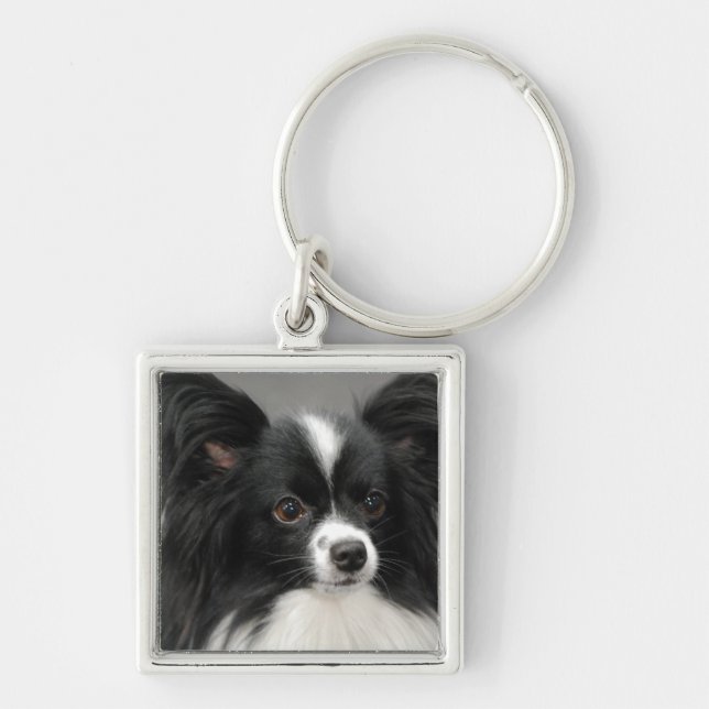 papillon-17.jpg keychain (Front)