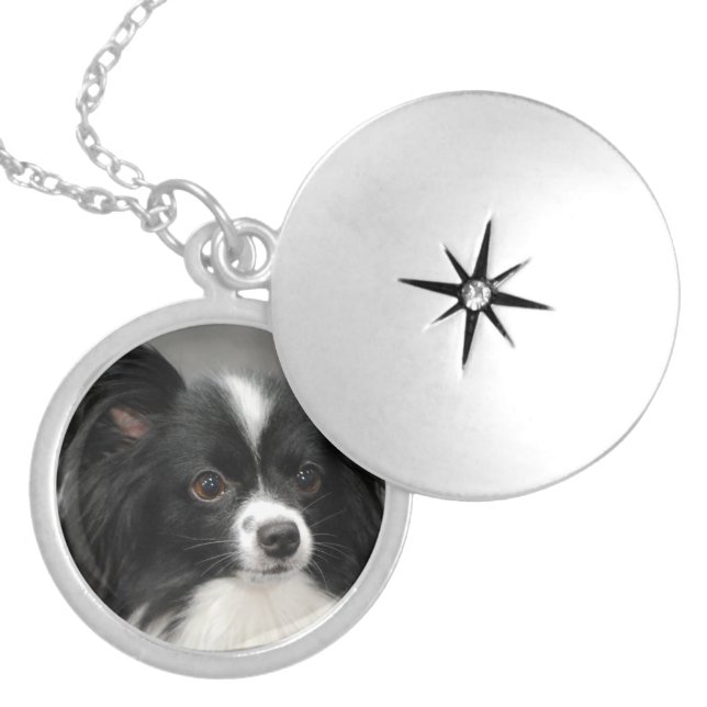 papillon-17.jpg locket necklace (Front)