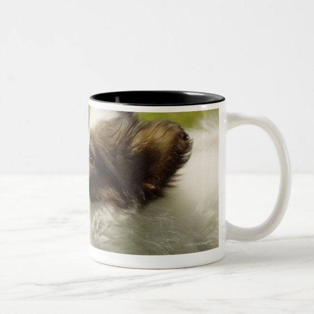 Papillon 2 Two-Tone coffee mug (Right)