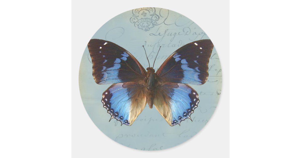 Sticker Papillon - bleu en vol