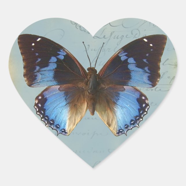 Papillon bleu heart sticker (Front)