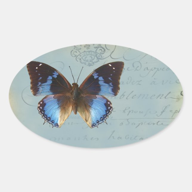 Papillon bleu oval sticker (Front)
