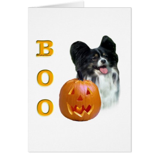 Papillon Boo (Front)