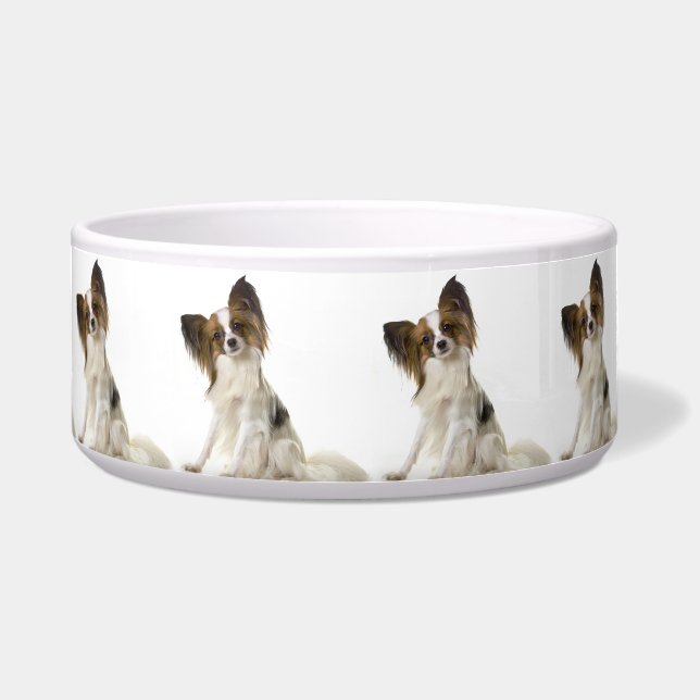 Papillon Bowl (Front)