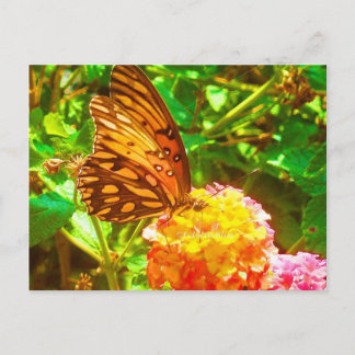 Papillon (Butterfly) Postcard