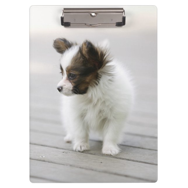 Papillon Clipboard (Front)