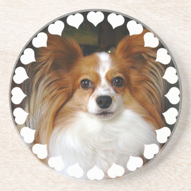 Papillon Dog Coasters (Front)