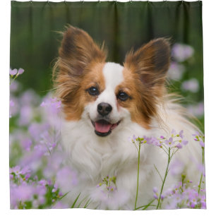 Papillon Dog Cute Portrait, Tub Shower Curtain
