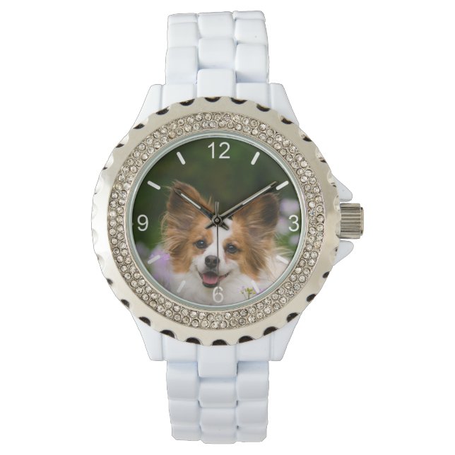Papillon Dog Cute Romantic Portrait - dial-plate Watch (Front)