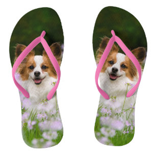 Papillon Dog Cute Romantic Portrait Pet Photo - Flip Flops