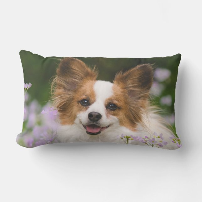 Papillon Dog Cute Romantic Portrait Photo  Outside Outdoor Pillow (Front)