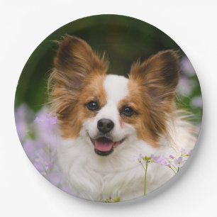 Papillon Dog Cute Romantic Portrait Photo - Paper Plates