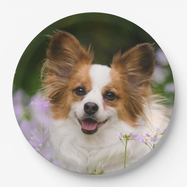 Papillon Dog Cute Romantic Portrait Photo - Paper Plates (Front)