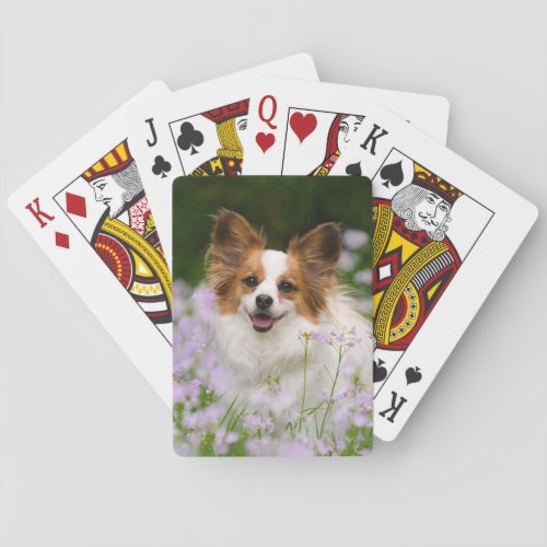 Papillon Dog Cute Romantic Portrait Photo _ Playing Cards
