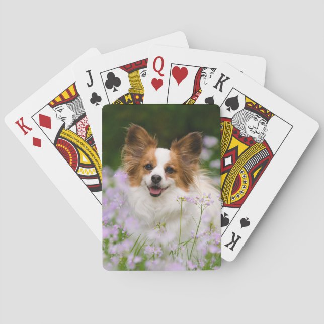 Papillon Dog Cute Romantic Portrait Photo - Poker Cards (Back)