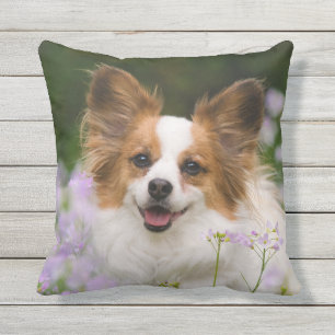 Papillon Dog Cute Romantic Portrait Photo - Throw Pillow