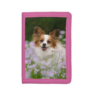 Papillon Dog Cute Romantic Portrait Photo - Trifold Wallet