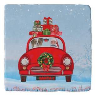 Papillon Dog In Car With Santa Claus Trivet