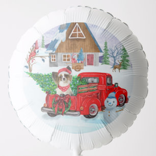 Papillon Dog In Christmas Delivery Truck Snow Balloon