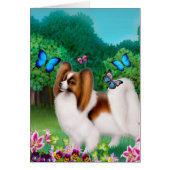 Papillon Dog in Garden Garden (Front)