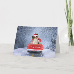 Papillon Dog in Snow sitting in Christmas Truck Card