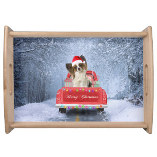 Papillon Dog in Snow sitting in Christmas Truck Serving Tray