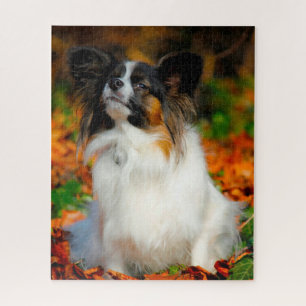 Papillon Dog. Jigsaw Puzzle