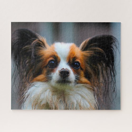 Papillon Dog Jigsaw Puzzle